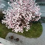Frühstückspension Hope